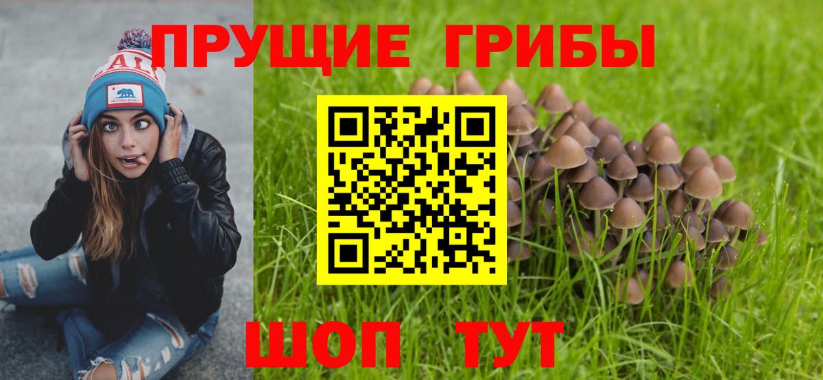 Псилоцибиновые грибы Magic Shrooms  Галлюциногенные грибы Magic Shrooms  Вход с VPN  Нефтекумск 