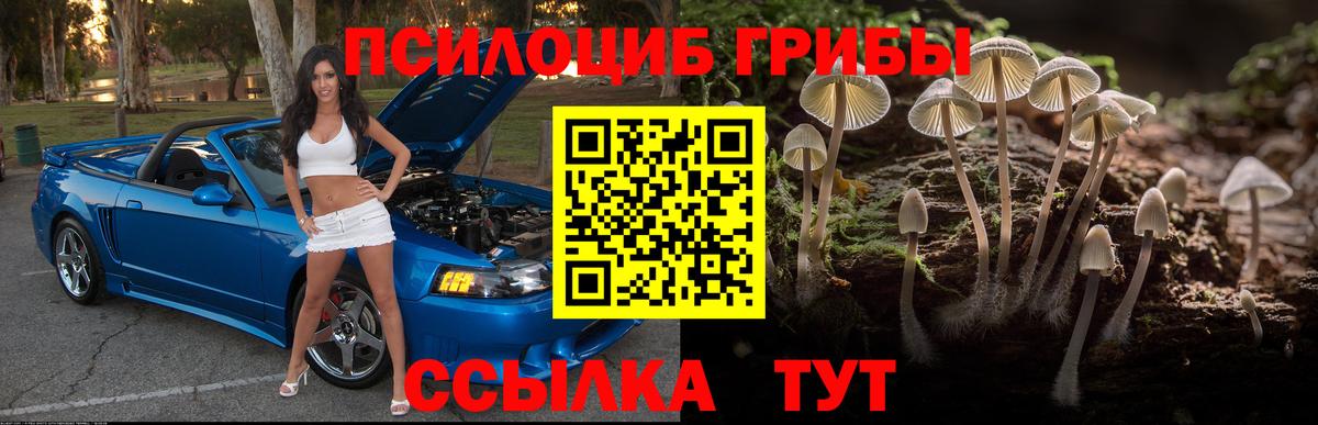 Галлюциногенные грибы Magic Shrooms Нефтекумск